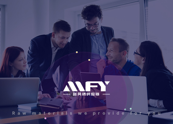 名風(fēng)揚集團