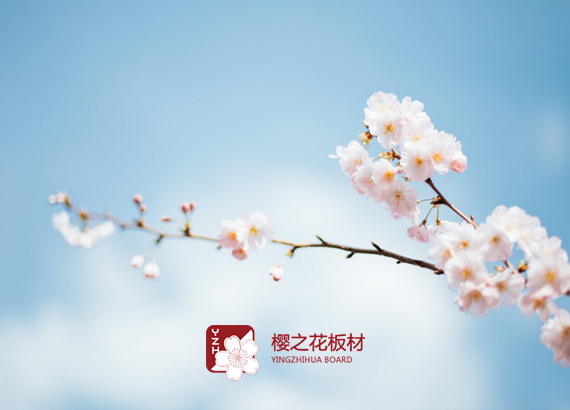 櫻之花(huā)（生(shēng)活美(měi)）商城(chéng)